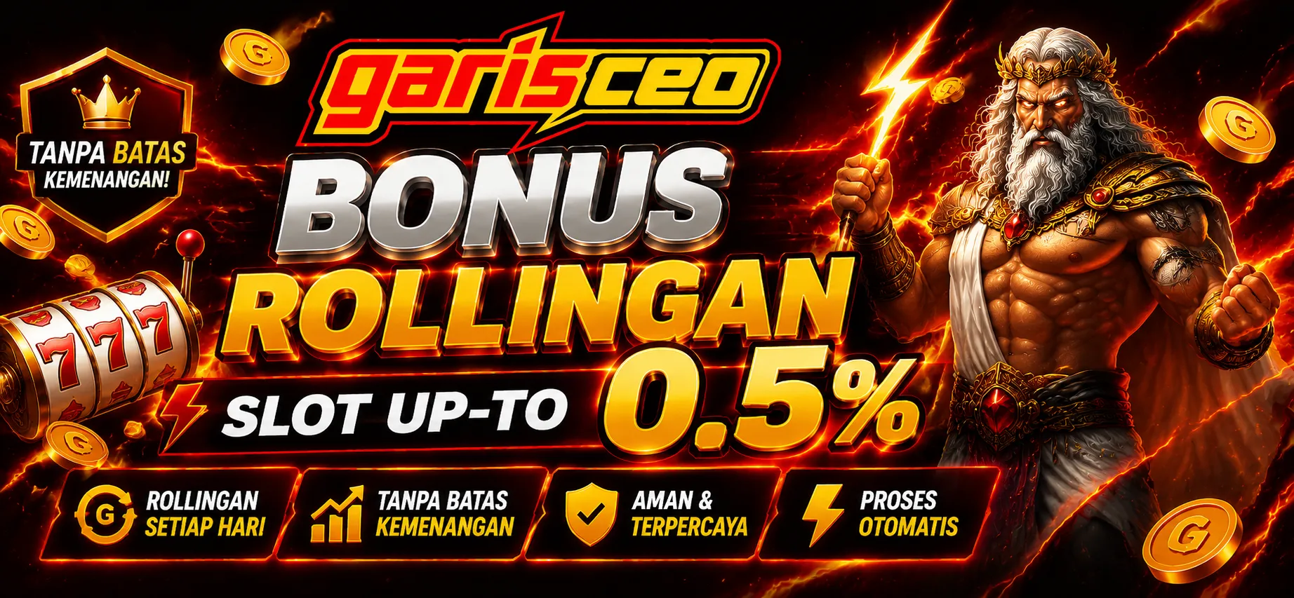 GARISCEO promo